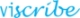 website design, hosting and marketing by viscribe ltd